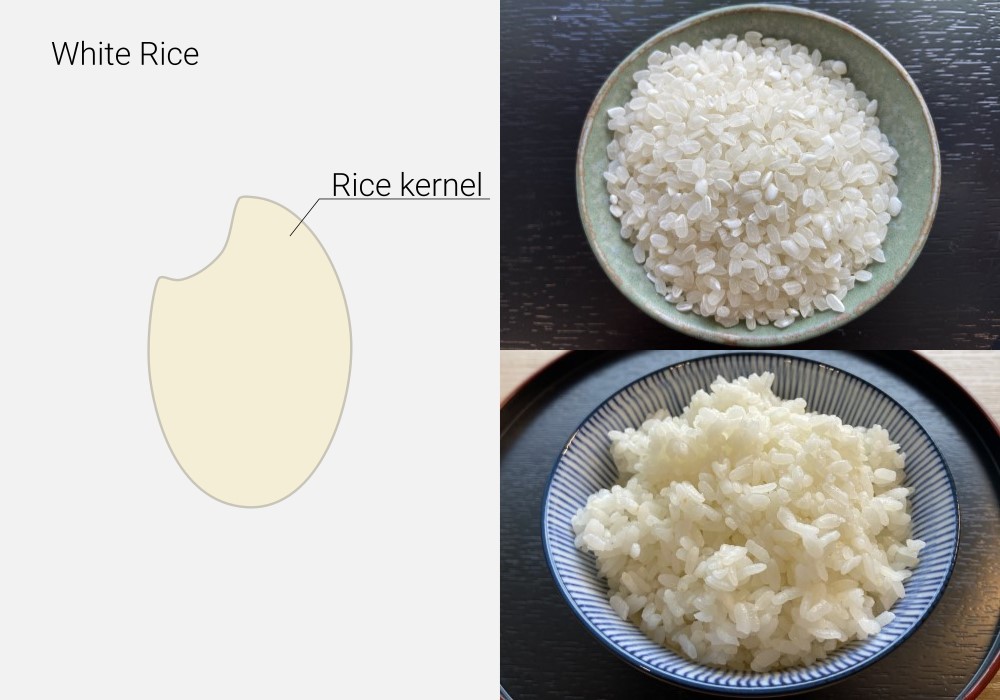 米 Japanese Rice Amazon.com : Milky Queen Japanese Rice – Ultra Soft & Sweet