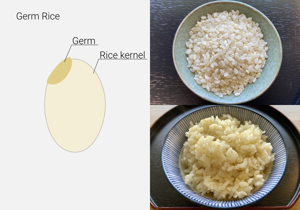Japanese Rice | Tensuke Market | Japan Marketplace