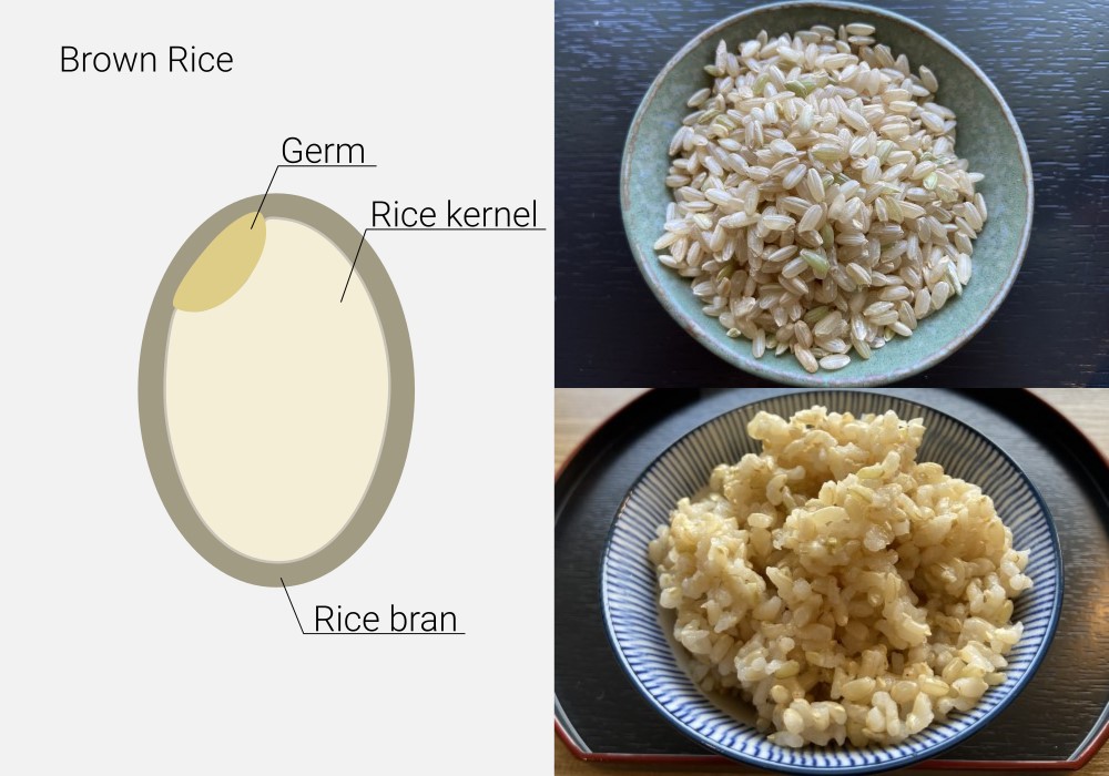 ライスページ Japanese Rice | Tensuke Market | Japan Marketplace